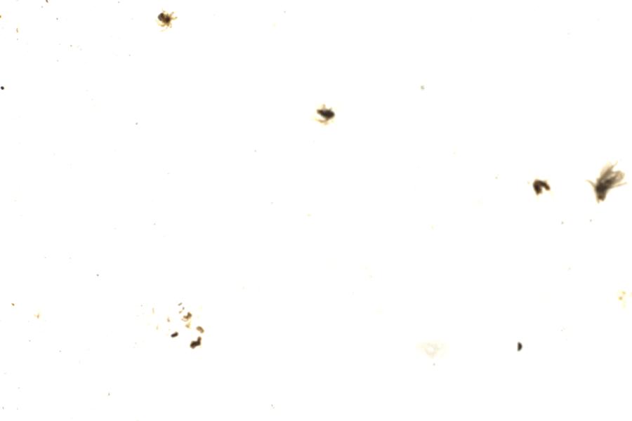Image 187